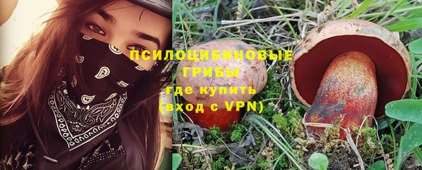 гидра Михайлов