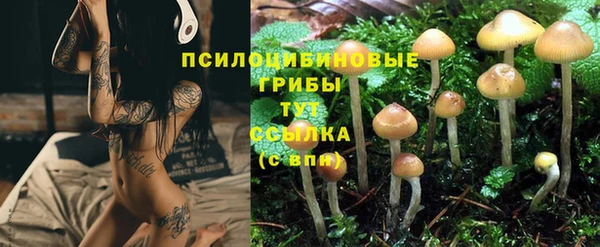 прущие крисы Михайловка